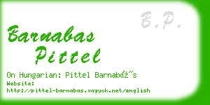 barnabas pittel business card